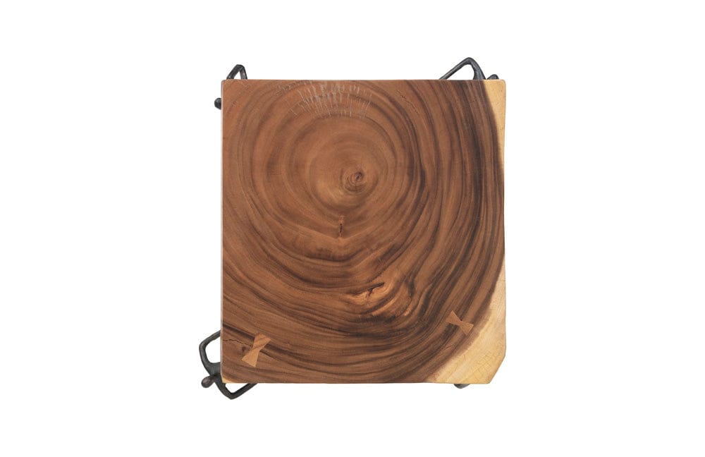 Phillips Collection - Atlas Side Table, Chamcha Wood/Metal, Natural - TH100397 view 2
