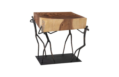 Phillips Collection - Atlas Side Table, Chamcha Wood/Metal, Natural - TH100397 view 3