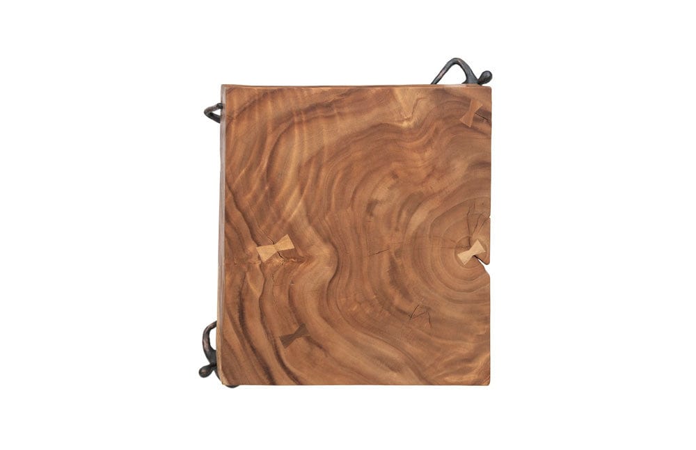 Phillips Collection - Atlas Side Table, Chamcha Wood/Metal, Natural - TH100397 view 4