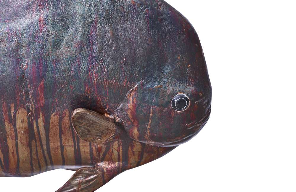 Phillips Collection - Australian Bat Fish Wall Sculpture, Resin, Copper Patina Finish - PH100653 veiw 3