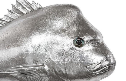 Phillips Collection - Australian Snapper Fish Wall Sculpture, Resin, Silver Leaf - PH64555 view 3