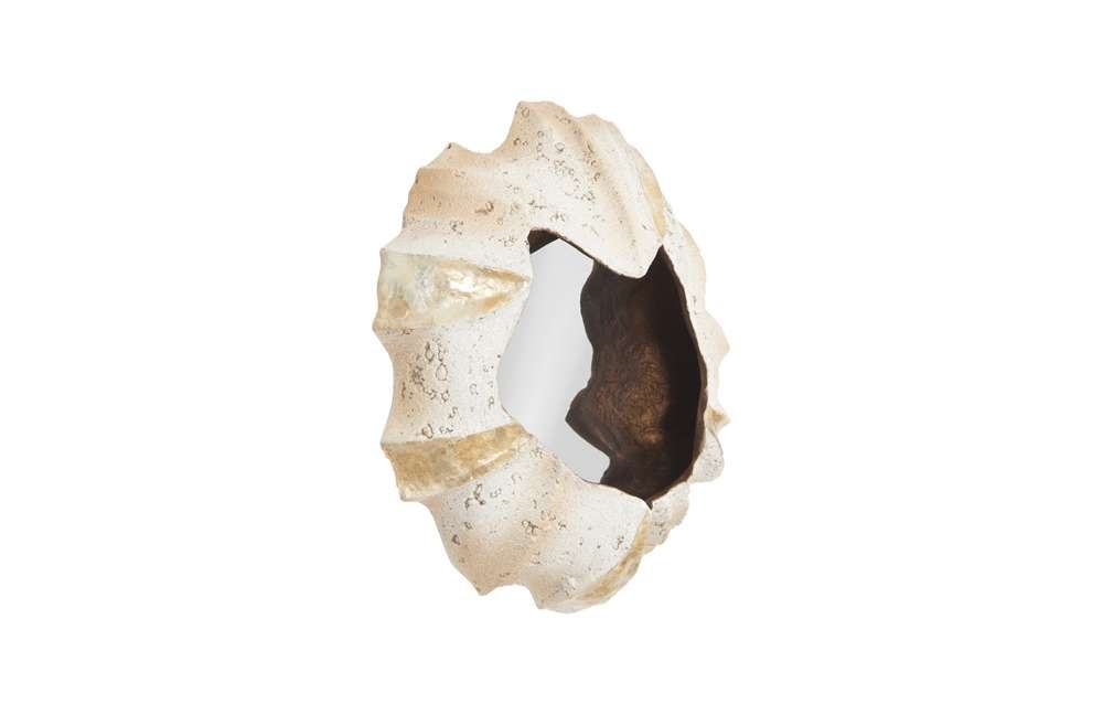 Phillips Collection - Barnacle Wall Art - PH75346 veiw 2