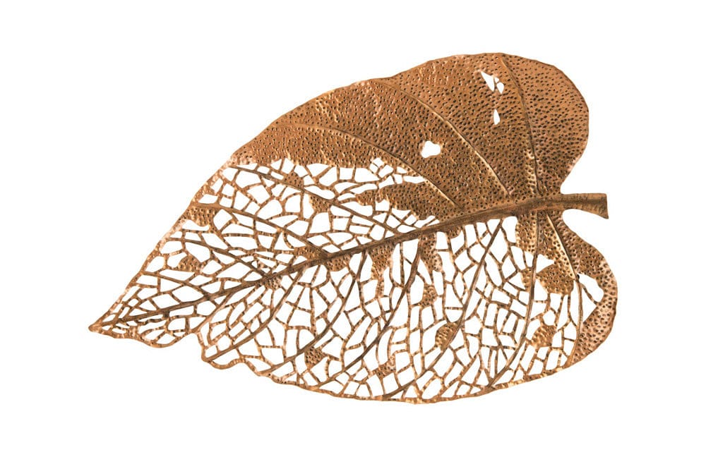 Phillips Collection - Birch Leaf Wall Art, Copper, XL - TH85854 view 1