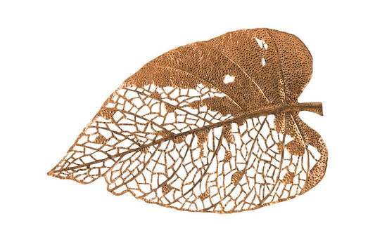 Phillips Collection - Birch Leaf Wall Art, Copper, XL - TH85854 view 1