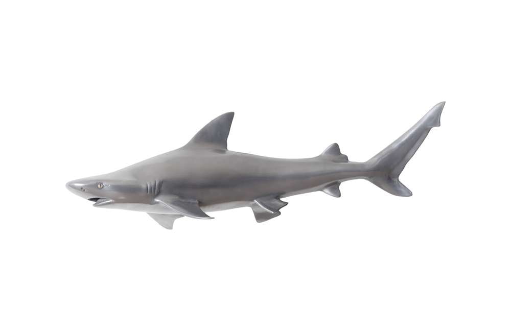 Phillips Collection - Black Tip Reef Shark, Polished Aluminum - PH65284 veiw 1