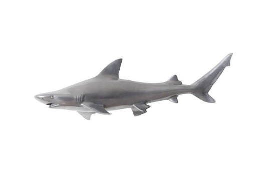 Phillips Collection - Black Tip Reef Shark, Polished Aluminum - PH65284 veiw 1