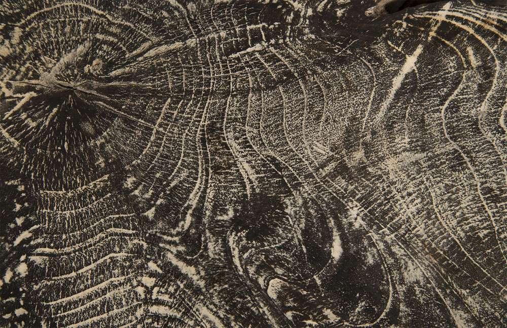 Phillips Collection - Black Wash Stool, Round - ID85089 veiw 3