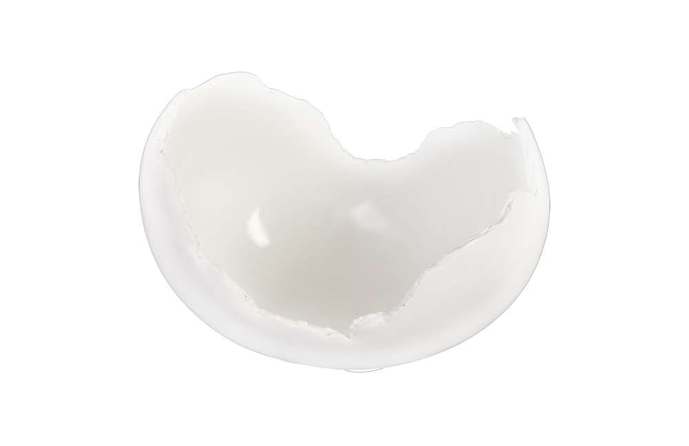 Phillips Collection - Burled Bowl, Glossy White - PH62033 veiw 3