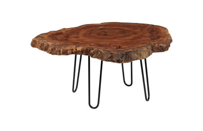Phillips Collection - Burled Coffee Table, Black Metal Legs, Large - TH93212 view 1