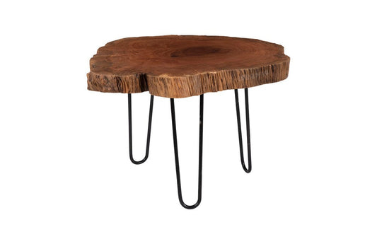 Phillips Collection - Burled Coffee Table, Black Metal Legs, Small - TH109378 view 1