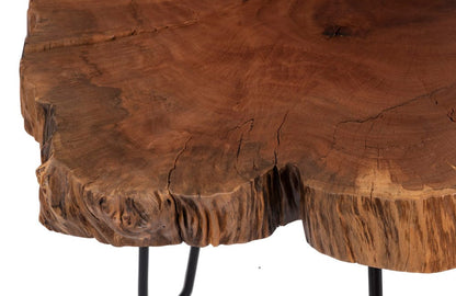 Phillips Collection - Burled Coffee Table, Black Metal Legs, Small - TH109378 view 3