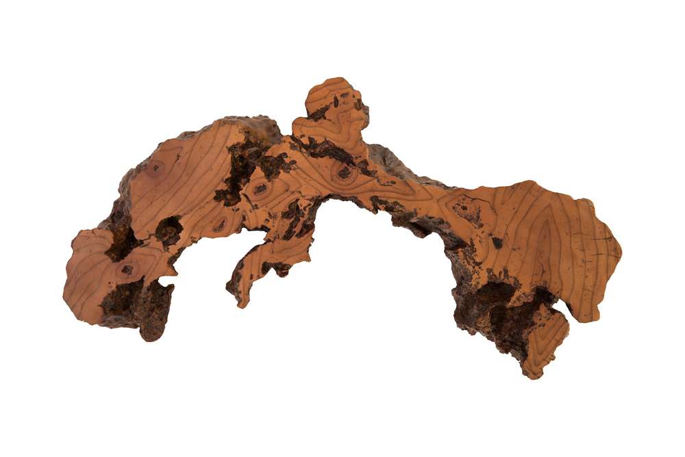 Phillips Collection - Burled Root Wall Art, Medium, Faux Bois Finish - PH83681 veiw 1