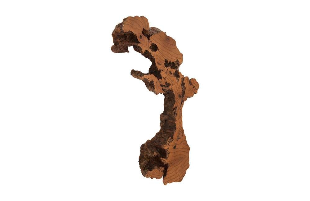 Phillips Collection - Burled Root Wall Art, Medium, Faux Bois Finish - PH83681 veiw 2
