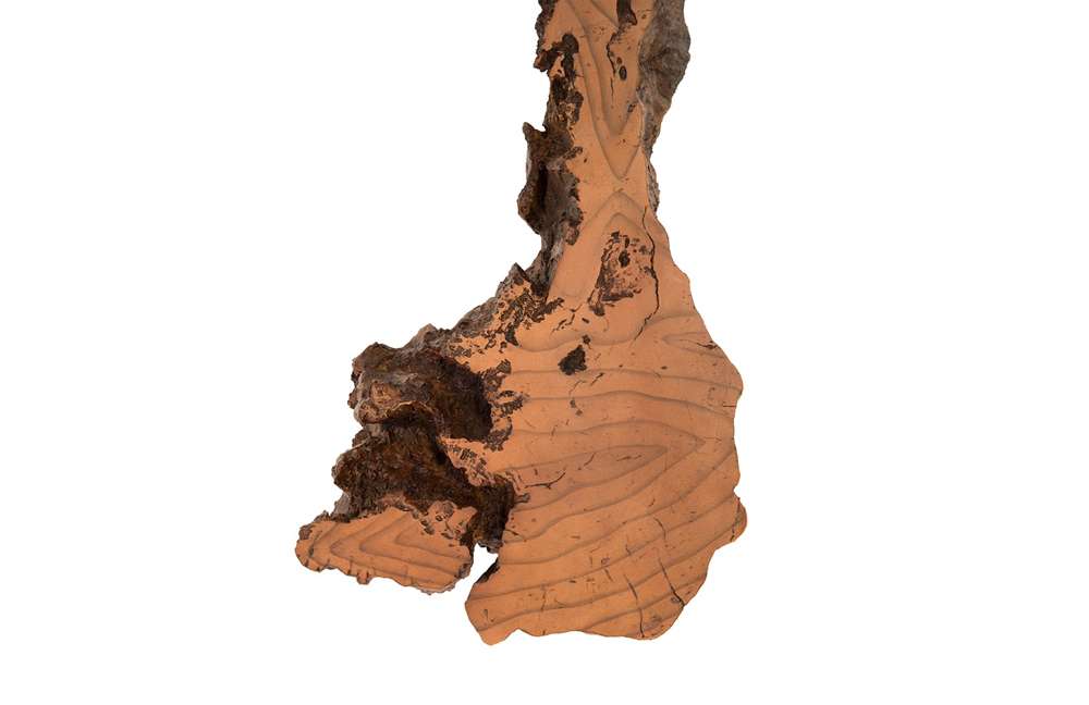 Phillips Collection Burled Root Wall Art - Thumbnail 5