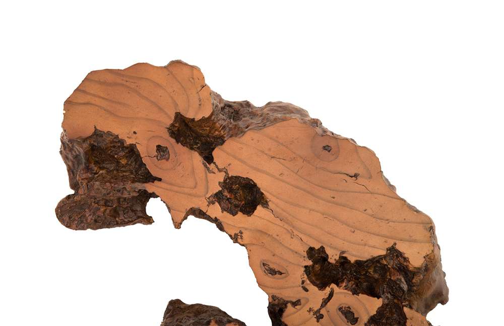 Phillips Collection - Burled Root Wall Art, Medium, Faux Bois Finish - PH83681 veiw 5
