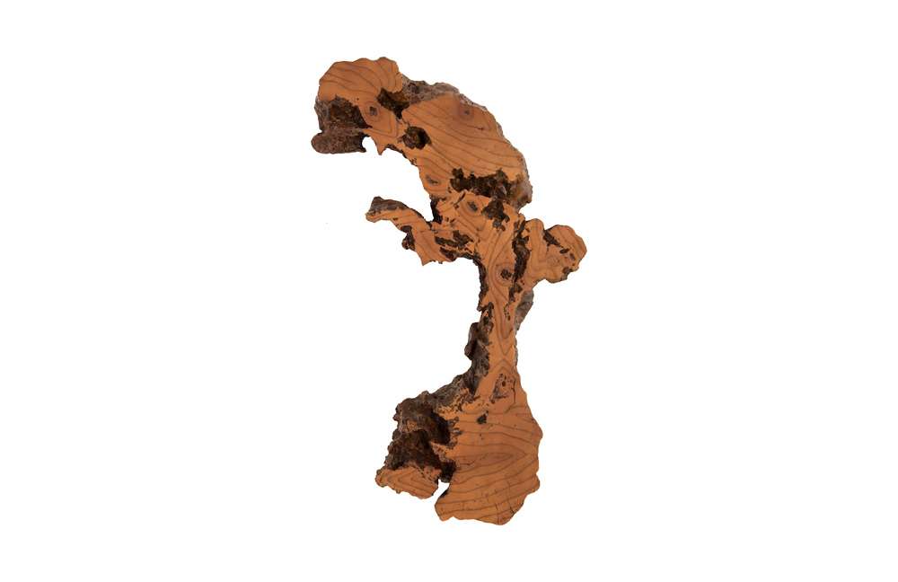Phillips Collection - Burled Root Wall Art, Medium, Faux Bois Finish - PH83681 veiw 6