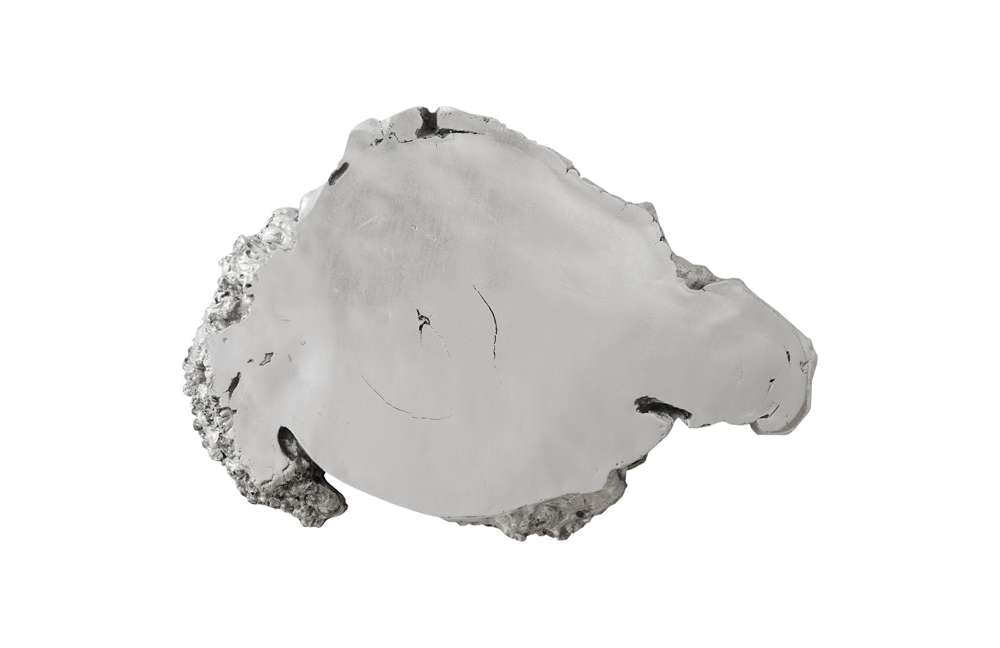 Phillips Collection - Burled Root Wall Art, Small, Silver Leaf - PH67971 veiw 1