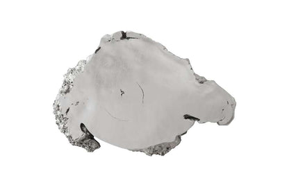 Phillips Collection - Burled Root Wall Art, Small, Silver Leaf - PH67971 veiw 1