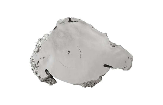 Phillips Collection - Burled Root Wall Art, Small, Silver Leaf - PH67971 veiw 1