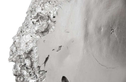 Phillips Collection - Burled Root Wall Art, Small, Silver Leaf - PH67971 veiw 3