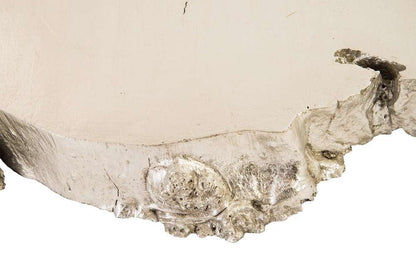 Phillips Collection - Burled Root Wall Art, Small, Silver Leaf - PH67971 veiw 5