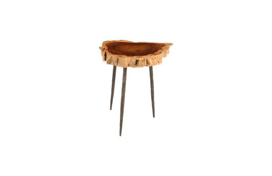 Phillips Collection - Burled Side Table, Forged Legs - TH81211 view 1