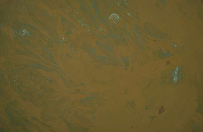 Phillips Collection - Button End Table, Lichen Finish - CH77707 veiw 3