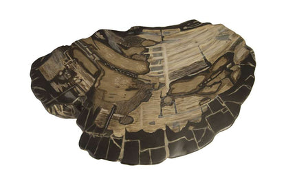 Phillips Collection - Cast Petrified Wood Stool, Resin - PH89727 veiw 2