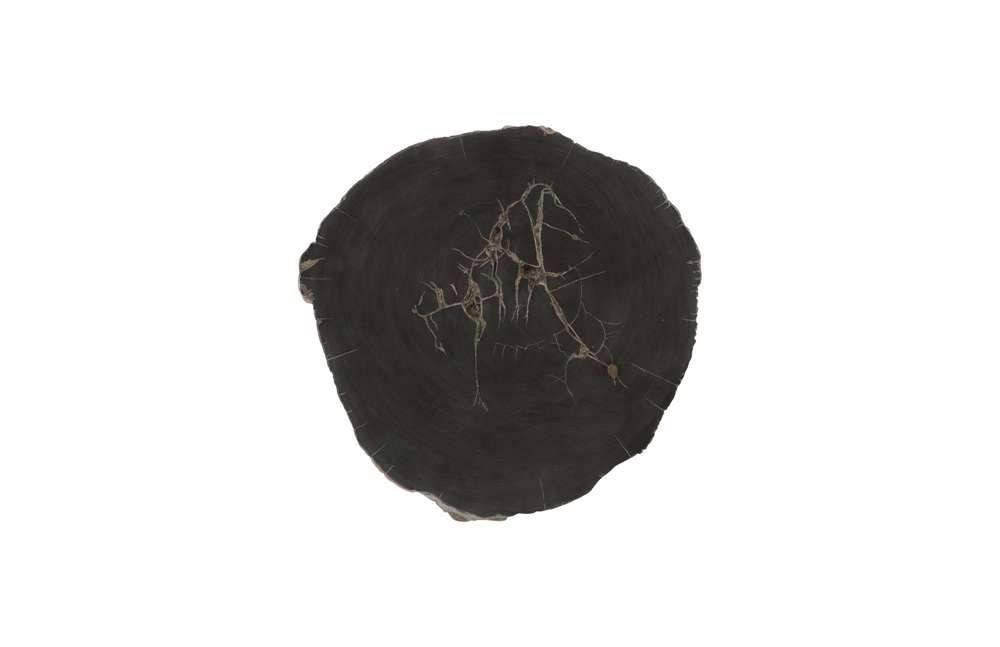 Phillips Collection - Cast Petrified Wood Wall Tile, Resin - PH93154 veiw 1