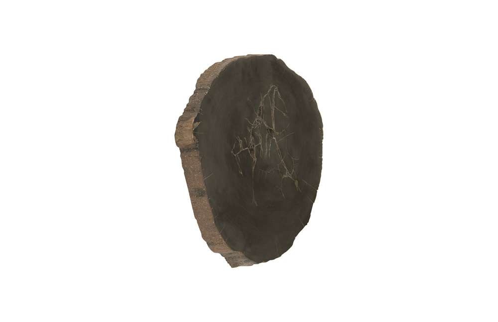 Phillips Collection - Cast Petrified Wood Wall Tile, Resin - PH93154 veiw 2