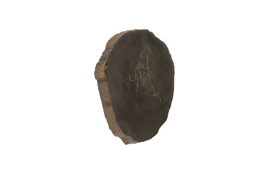 Phillips Collection - Cast Petrified Wood Wall Tile, Resin - PH93154 veiw 2