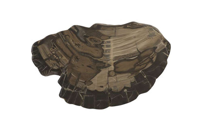 Phillips Collection - Cast Petrified Wood Wall Tile, Resin - PH94505 veiw 1
