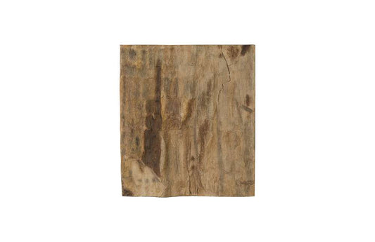 Phillips Collection - Cast Petrified Wood Wall Tile, Resin, Square - PH89988 veiw 1