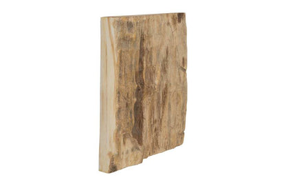 Phillips Collection - Cast Petrified Wood Wall Tile, Resin, Square - PH89988 veiw 2
