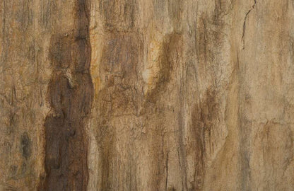 Phillips Collection - Cast Petrified Wood Wall Tile, Resin, Square - PH89988 veiw 3