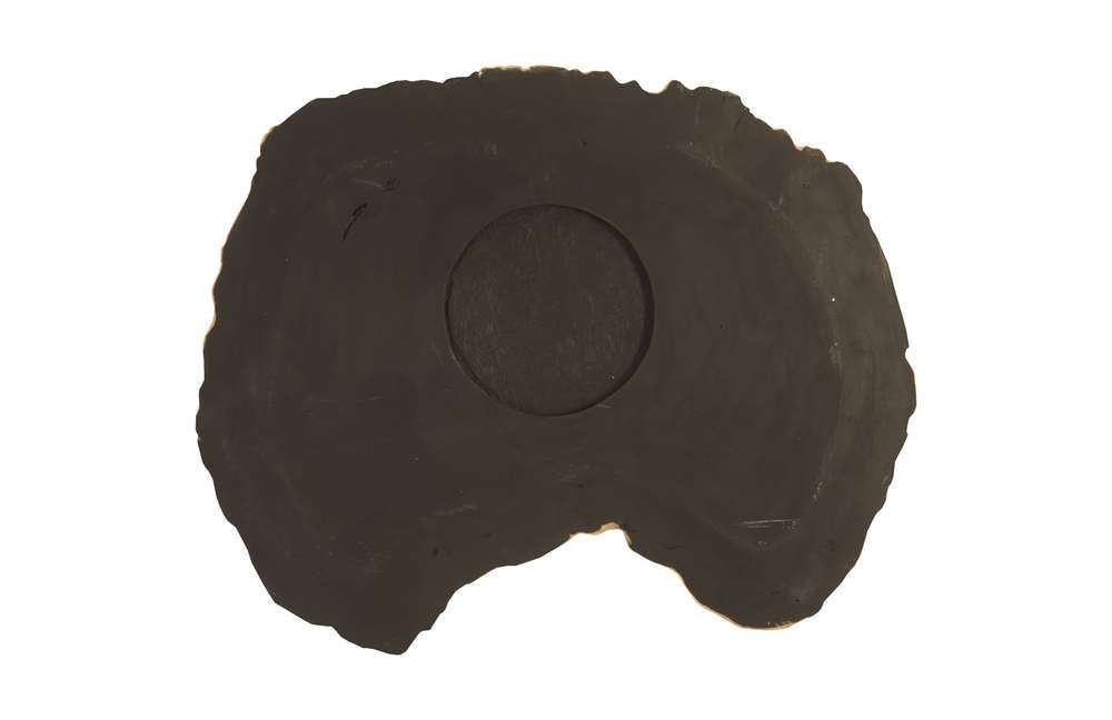 Phillips Collection - Cast Petrified Wood Wall Tile, Resin, Thin - PH92564 veiw 4