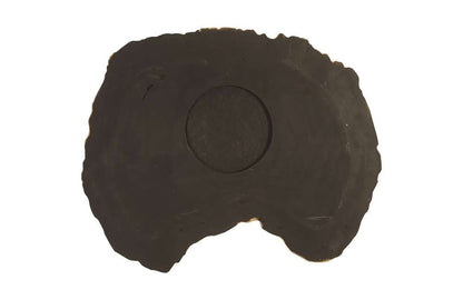 Phillips Collection - Cast Petrified Wood Wall Tile, Resin, Thin - PH92564 veiw 4