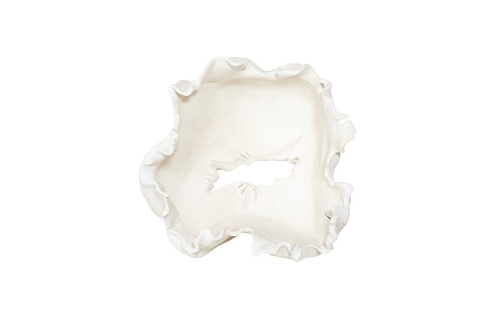 Phillips Collection - Cast Root Bowl, Closed, Faux Bleached - PH117412 view 2