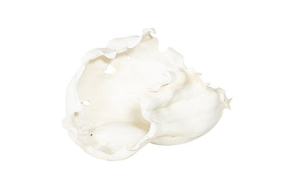 Phillips Collection - Cast Root Bowl, Open, Faux Bleached - PH117411 view 1