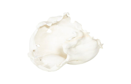 Phillips Collection - Cast Root Bowl, Open, Faux Bleached - PH117411 view 1