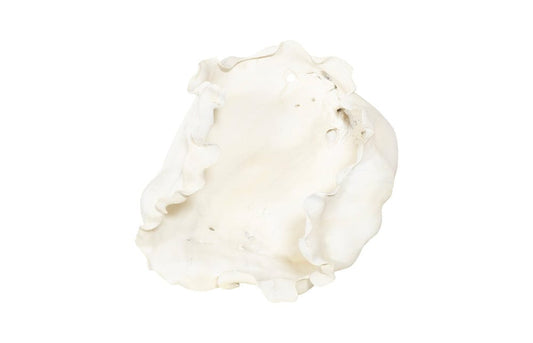 Phillips Collection - Cast Root Bowl, Open, Faux Bleached - PH117411 view 2