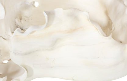 Phillips Collection - Cast Root Bowl, Open, Faux Bleached - PH117411 view 4
