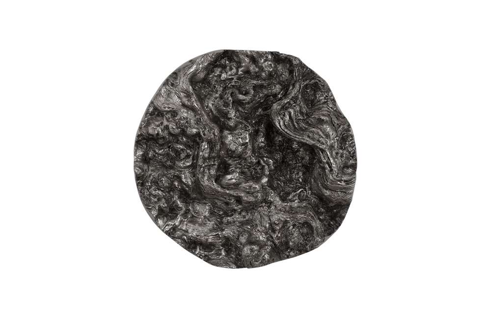 Phillips Collection - Cast Root Erupting Wall Sculpture - PH107121 veiw 1