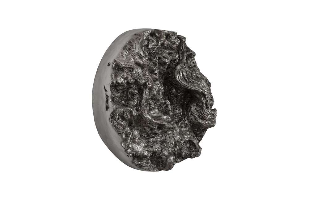 Phillips Collection - Cast Root Erupting Wall Sculpture - PH107121 veiw 2