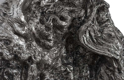 Phillips Collection - Cast Root Erupting Wall Sculpture - PH107121 veiw 3