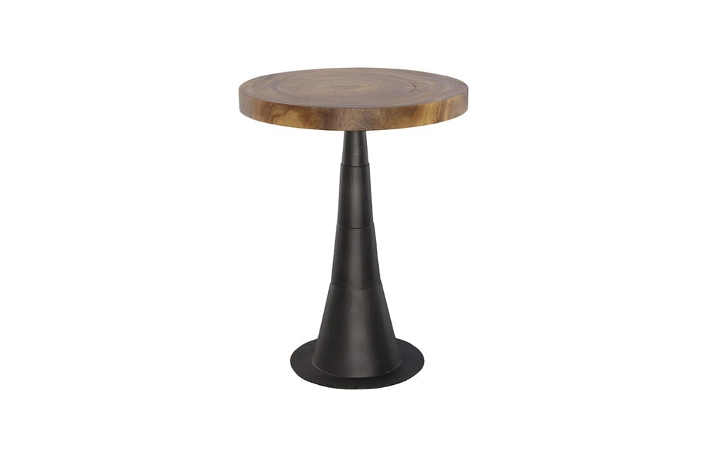 Phillips Collection - Chuleta Bar Table, Iron Base, Natural - TH110311 view 1