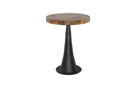 Phillips Collection - Chuleta Bar Table, Iron Base, Natural - TH110311 view 1