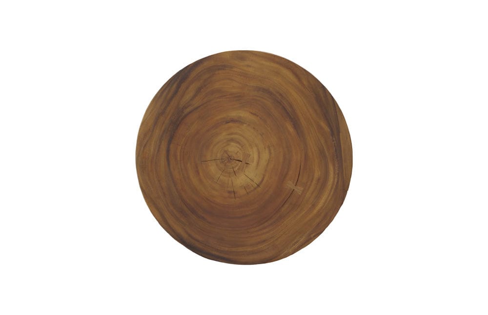 Phillips Collection - Chuleta Bar Table, Iron Base, Natural - TH110311 view 2