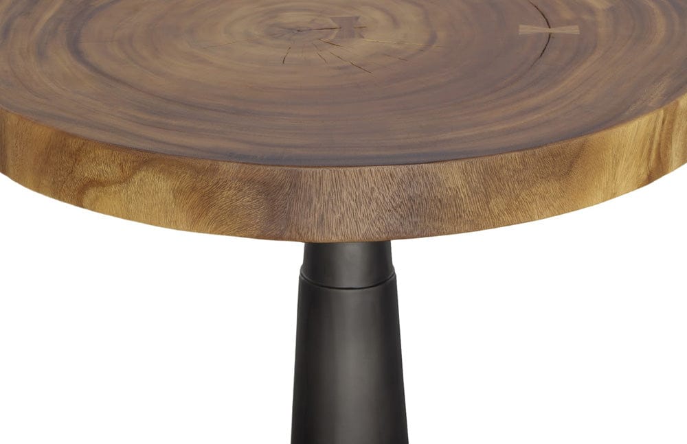 Phillips Collection - Chuleta Bar Table, Iron Base, Natural - TH110311 view 3