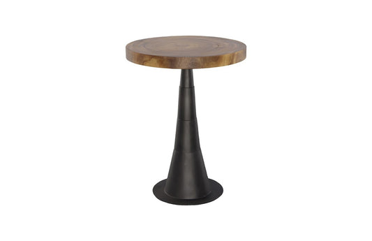 Phillips Collection - Chuleta Bar Table, Iron Base, Natural - TH110311 veiw 1